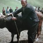 Uzun yıllar sonra Öküz yatağında birinci olan boğa (Nişoy Dereğanlılardan birinciliği almıştı). Sevgili Recep Temiz birinci olan boğa için çok güzel methiyeler dizmişti. Fotoğrafı çeken Merhum Hasan Kılıç.